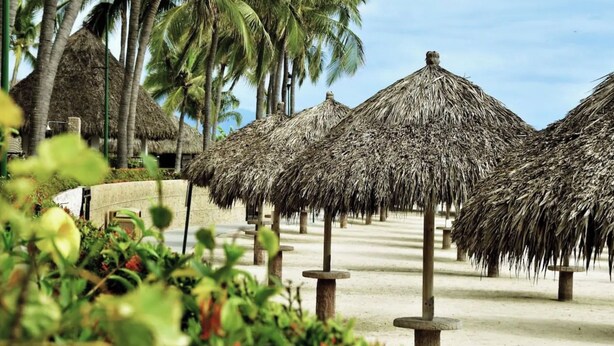 A beach with thatched umbrellas and palm trees.