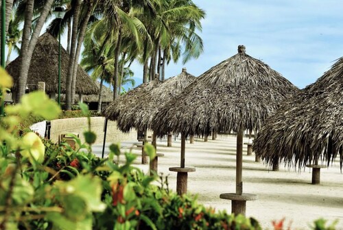 Playa Royale One Bedroom 2 Bathrooms High speed Internet unit 3102