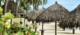 Playa Royale One Bedroom 2 Bathrooms High speed Internet unit 3102