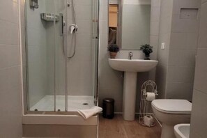 Shower, hair dryer, bidet, towels