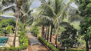 A pathway lined with palm trees leading to a pool area.