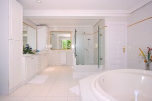 Shower, hair dryer, bidet, towels
