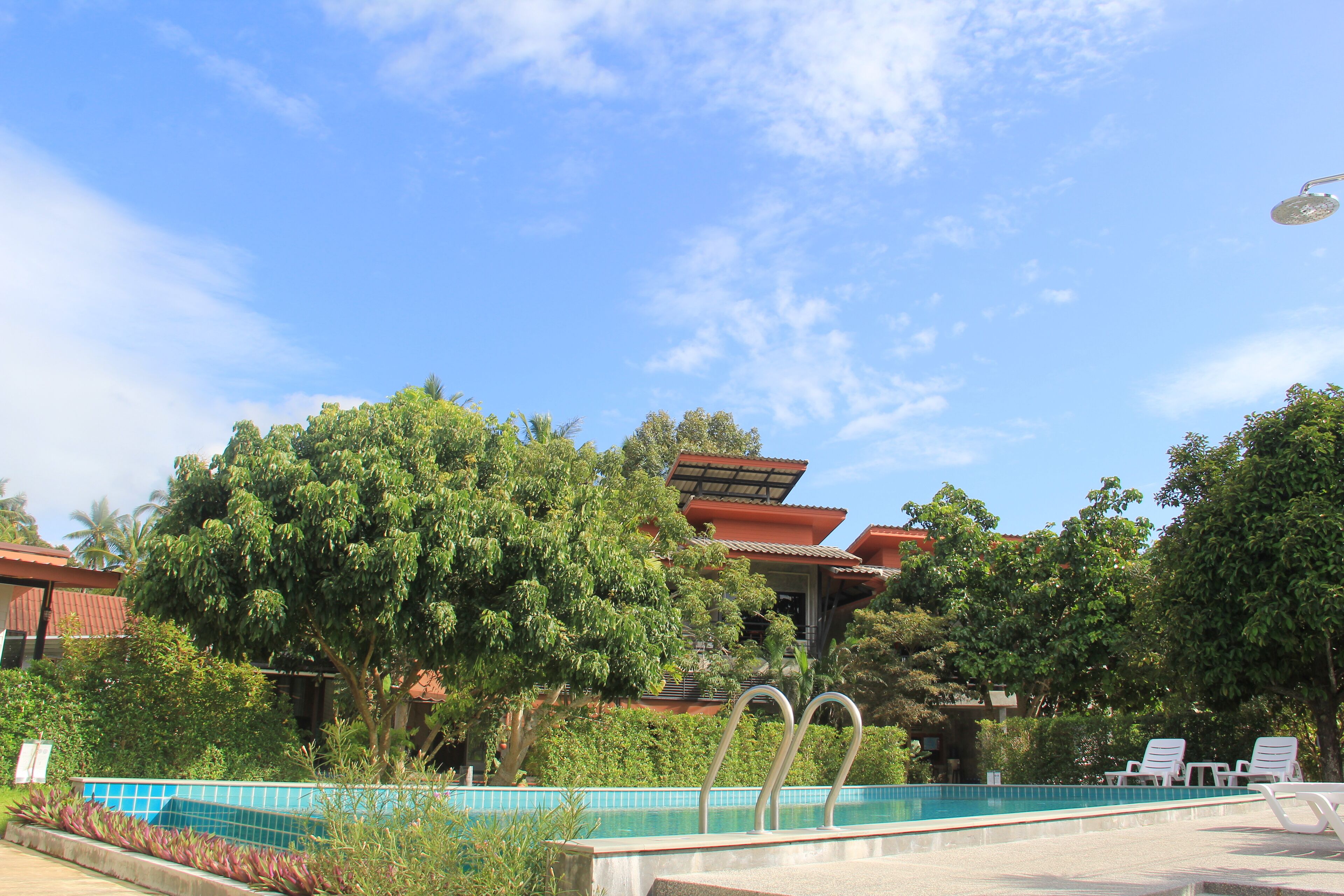 Jardín