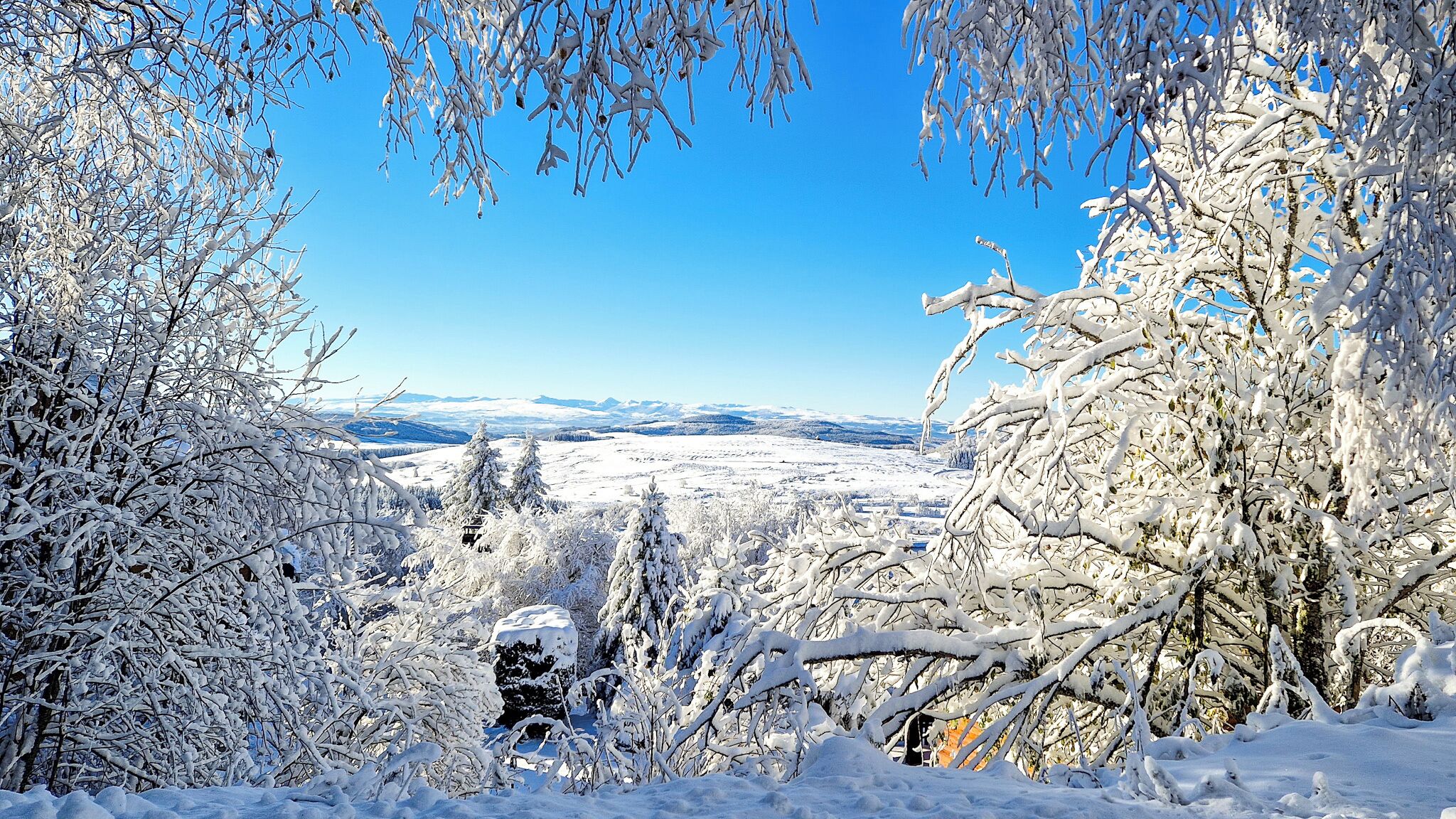 Un paysage enneigé, avec des arbres et un ciel bleu dégagé.