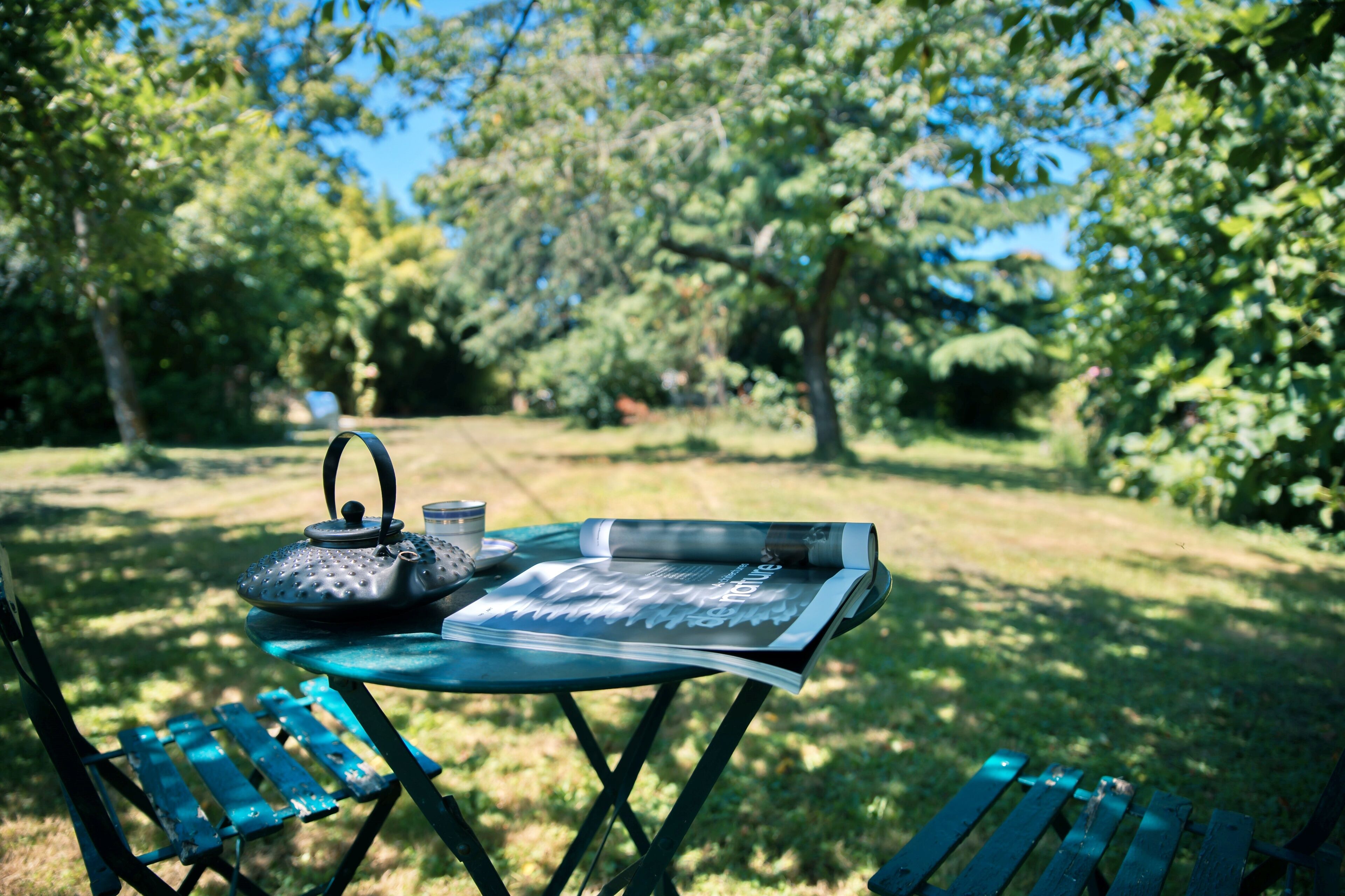 A table with a kettle, cup, and magazine in an outdoor setting with greenery.