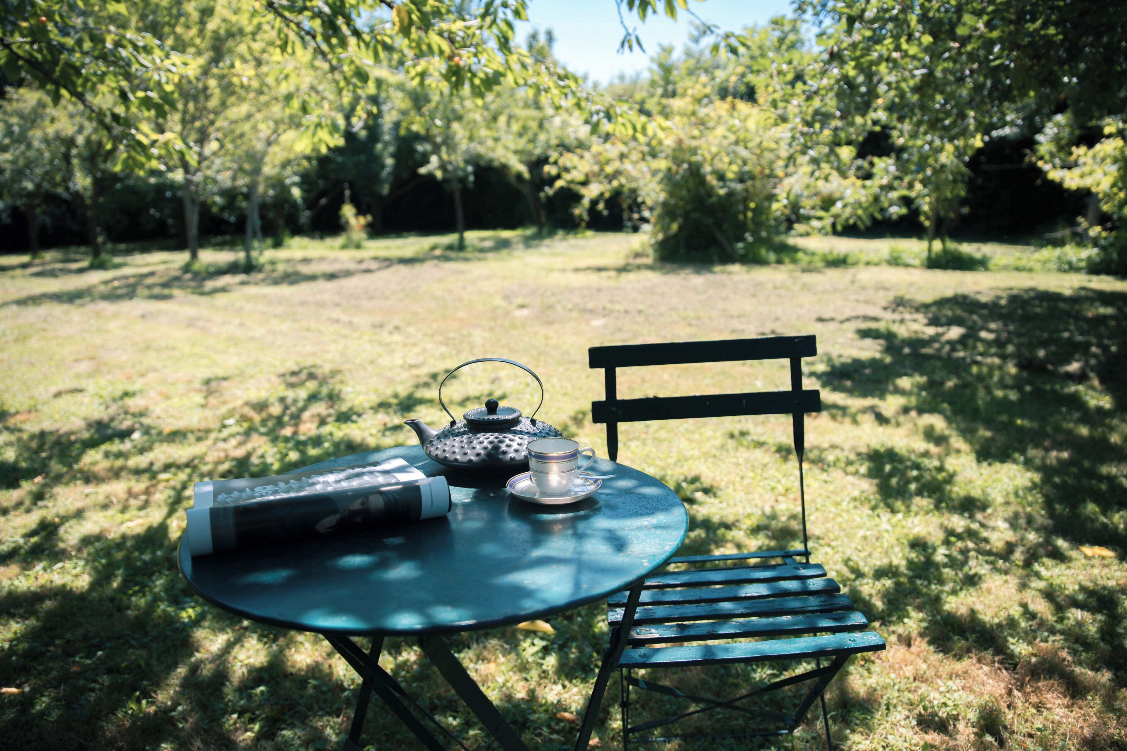 Une table ronde avec une théière, une tasse et une soucoupe, et une chaise, le tout placé dans un espace extérieur verdoyant, avec des arbres en arrière-plan.