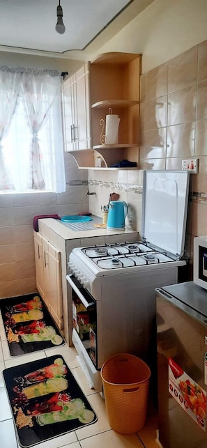 Family Apartment, City View | Private kitchen | Fridge, microwave, electric kettle, cookware/dishes/utensils