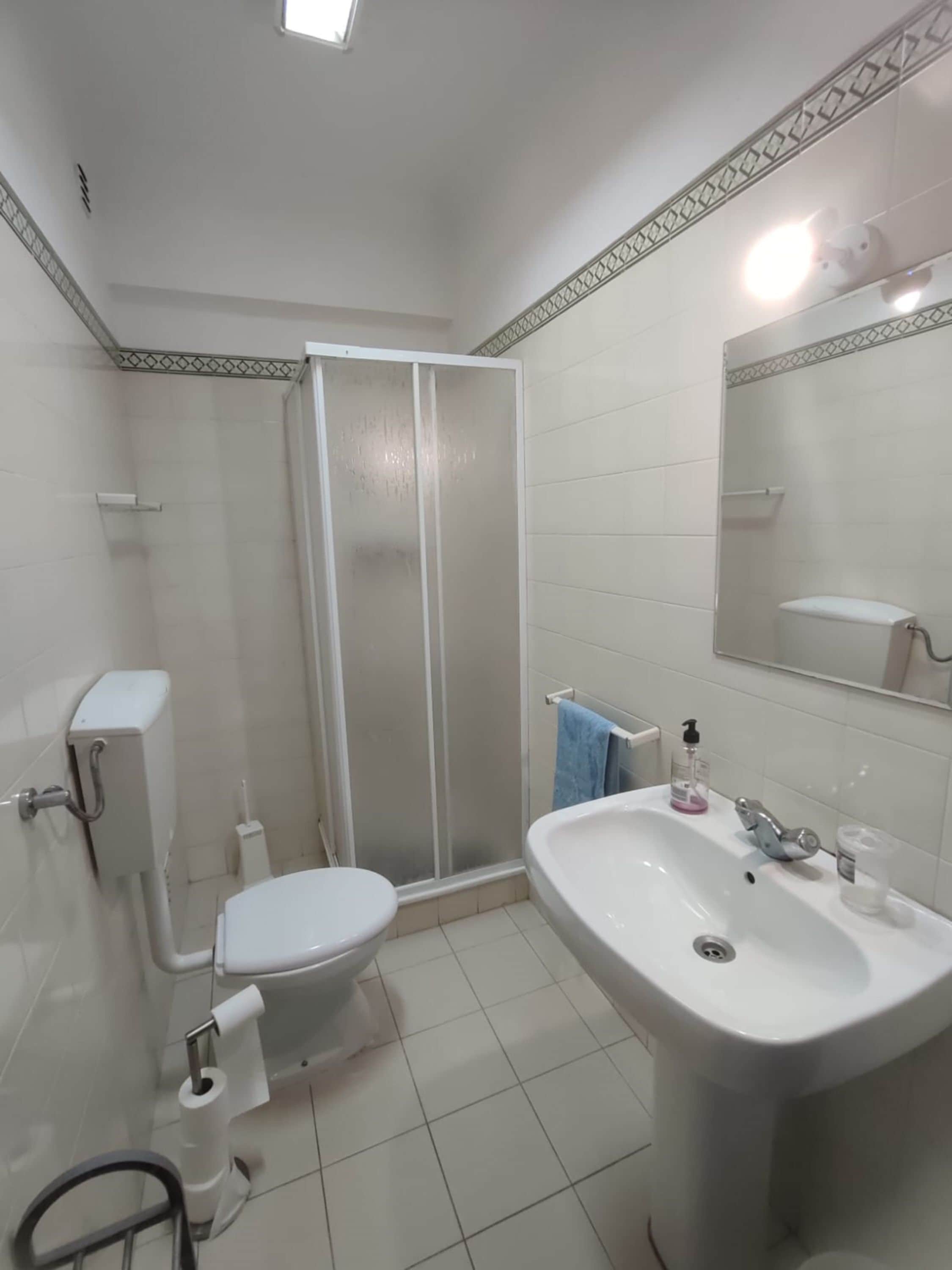Een badkamer met toilet, wastafel en douche.