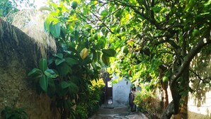 A narrow pathway leading to a gated entrance, surrounded by lush greenery and a concrete wall. - Ferreira Alentejo Terrace Villa (Ferreira do Alentejo)