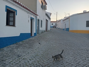 House | 1 bedroom - Ferreira do Alentejo Peroguarda Barbecue Ter (Ferreira do Alentejo)