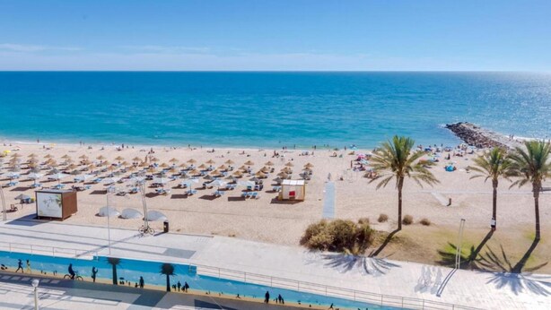 Una playa con tumbonas y sombrillas, una piscina y palmeras.