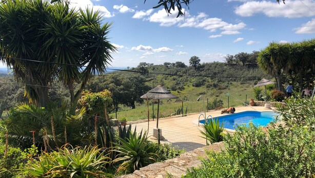 A pool surrounded by lush greenery, a stone wall, and a thatched-roof gazebo. - Serra do Caldeir o Private Pool Villa (Almodôvar)
