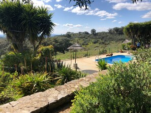 A pool surrounded by lush greenery, a stone wall, and a thatched-roof gazebo.