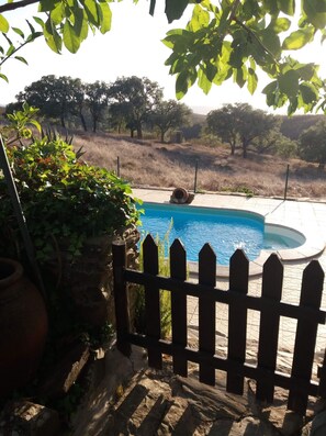 A swimming pool with a wooden fence, surrounded by dry grass and trees.