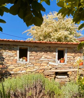 4 bedrooms - Casa Gelasio Private Pool (Tondela)