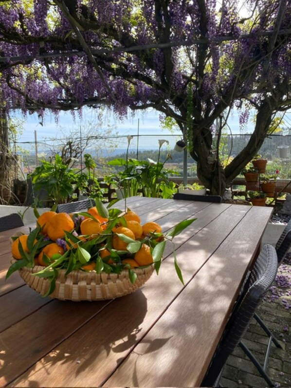 4 bedrooms - Casa Gelasio Private Pool (Tondela)