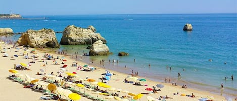 Apartment | 1 bedroom