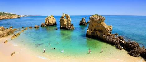 公寓 | 1 多间卧室