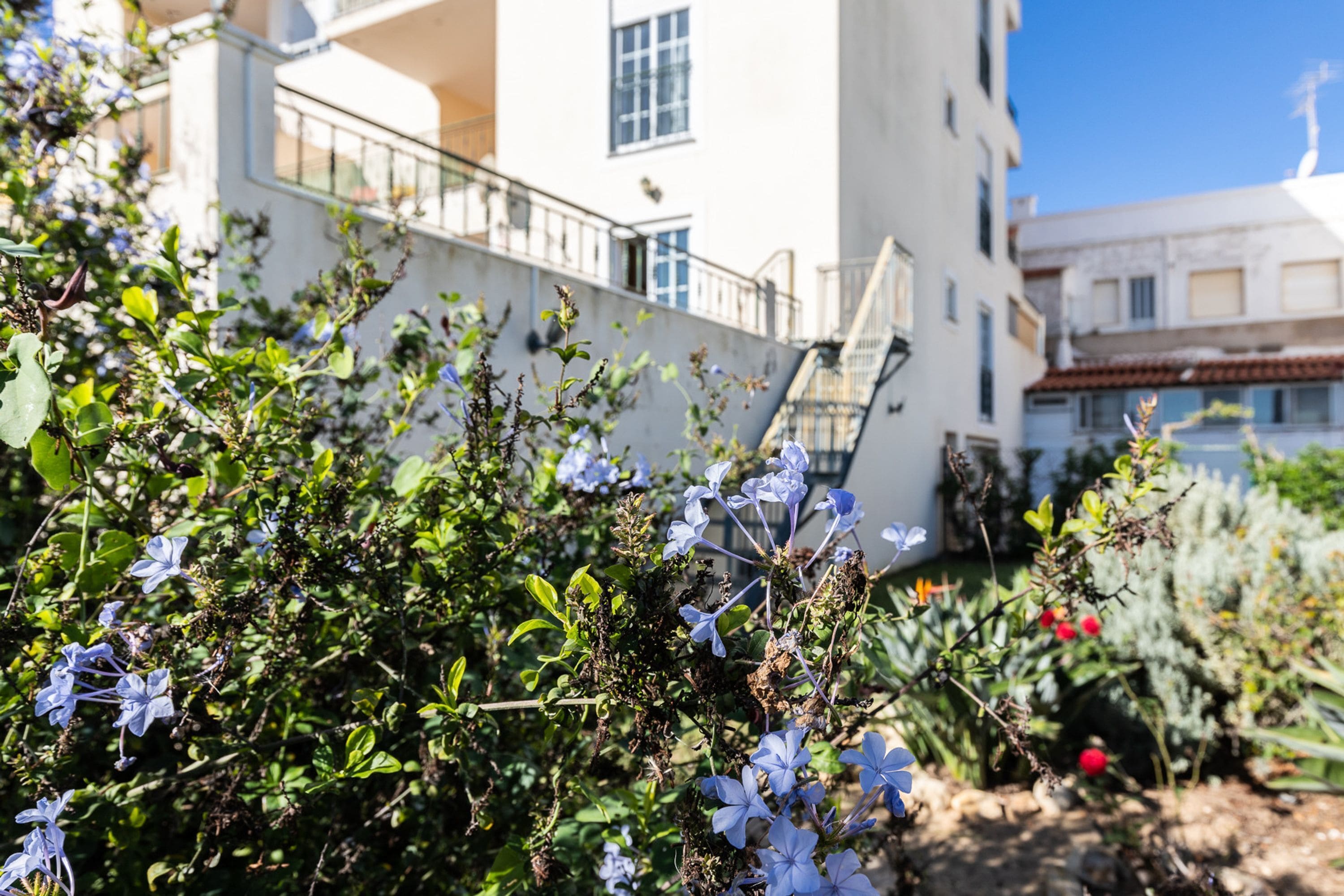 Appartement, fumeurs | 2 chambres