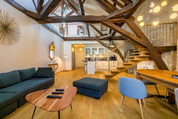 TV - Le Mucie - Magnifique loft au centre de la ville - SR Loc (DIJON)