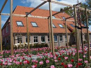 Property grounds - De Hoeve: Accommodation Near Giethoorn and Weerribben-Wieden (Baarlo)