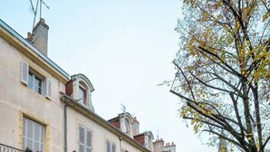 Uma rua de paralelepípedos ladeada por edifícios históricos, uma árvore com folhas amarelas e um vaso de pedra com vegetação.