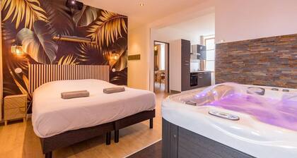 L'essentiel appartement avec Jacuzzi et Sauna