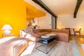 TV, fireplace - Orangerie Jeannin - Appartement au cœur de la vill (Dijon)