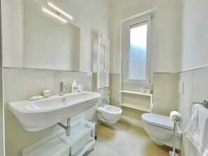 Shower, hair dryer, bidet, towels