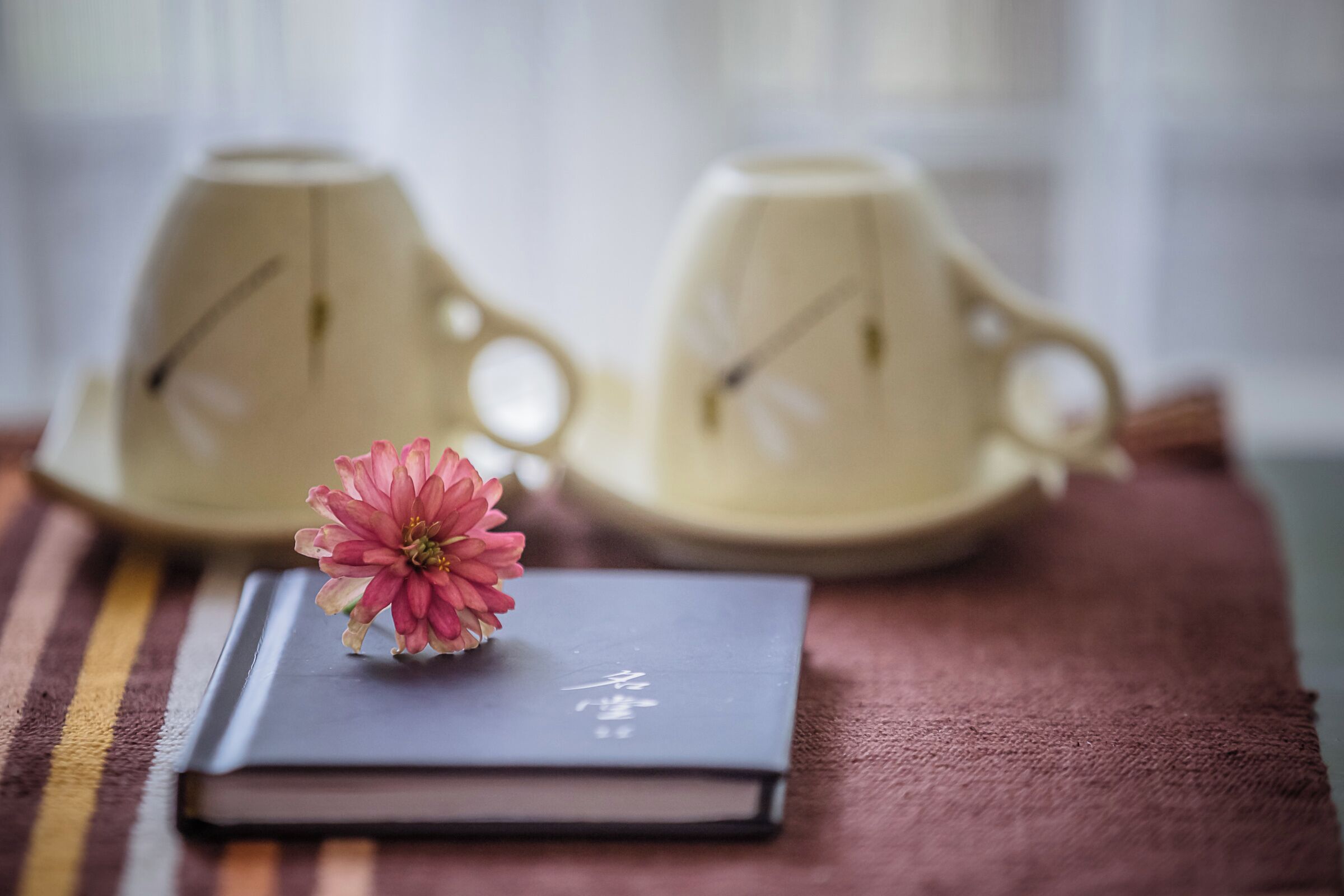 Un libro con una flor rosa sobre un paño marrón, y dos relojes beiges al fondo.