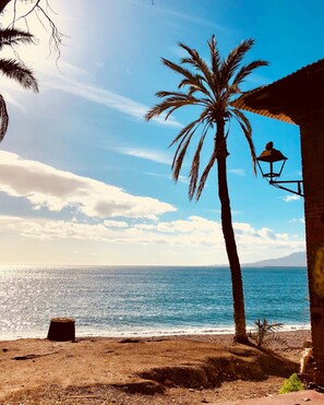 Ein Strand mit einer Palme, einer Laterne und freiem Blick auf das Meer.