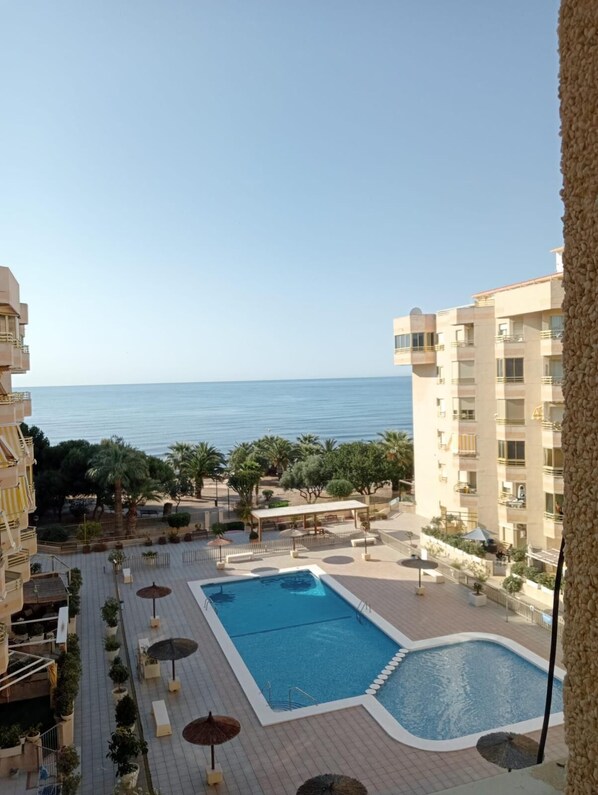 A resort pool with a view of the sea, surrounded by palm trees and a tiled deck.