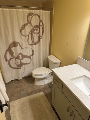 Secador de cabelo, toalhas de banho, sabonete, papel higiênico