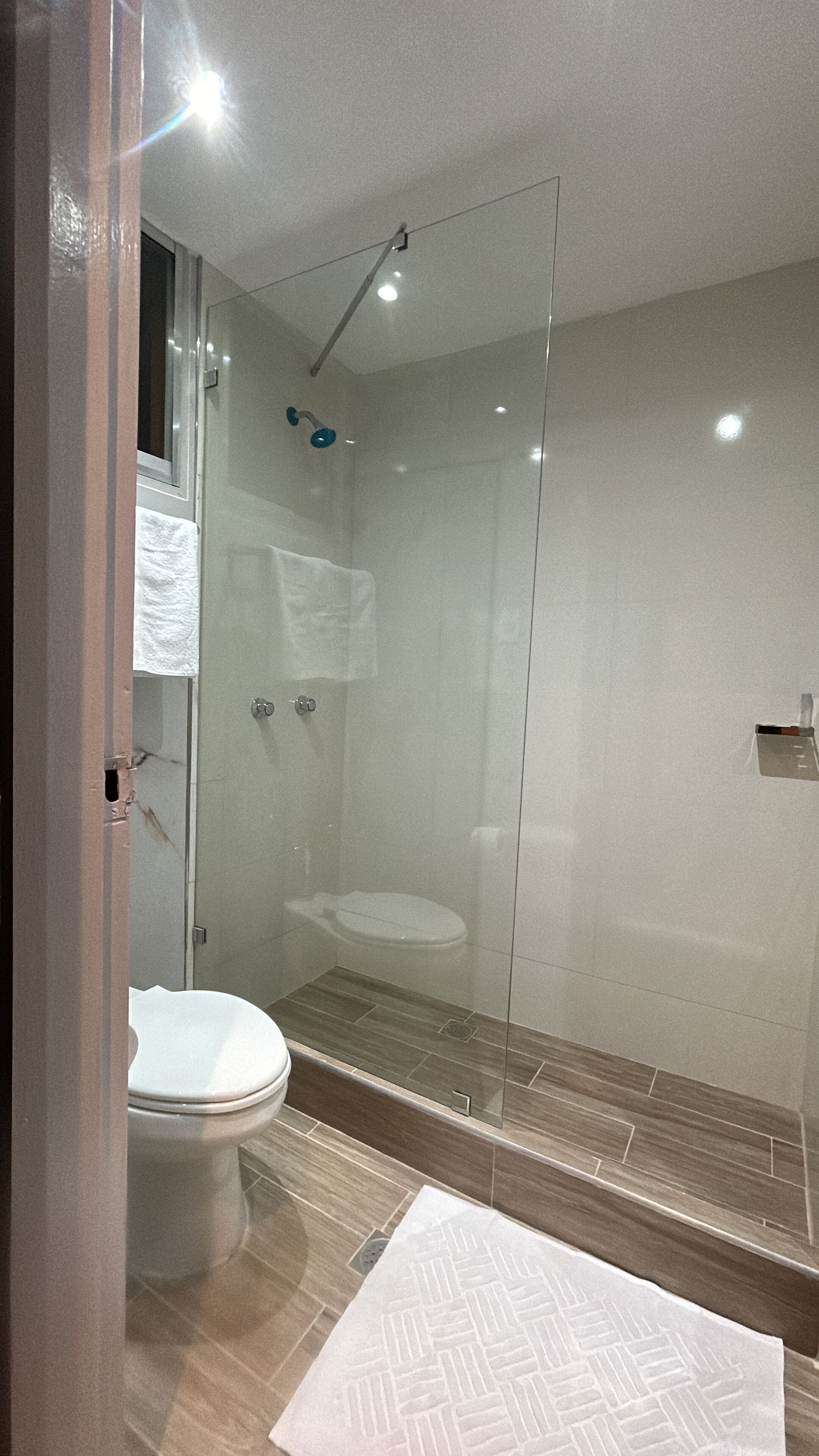 A modern bathroom with a glass shower enclosure, a toilet, and a patterned floor.