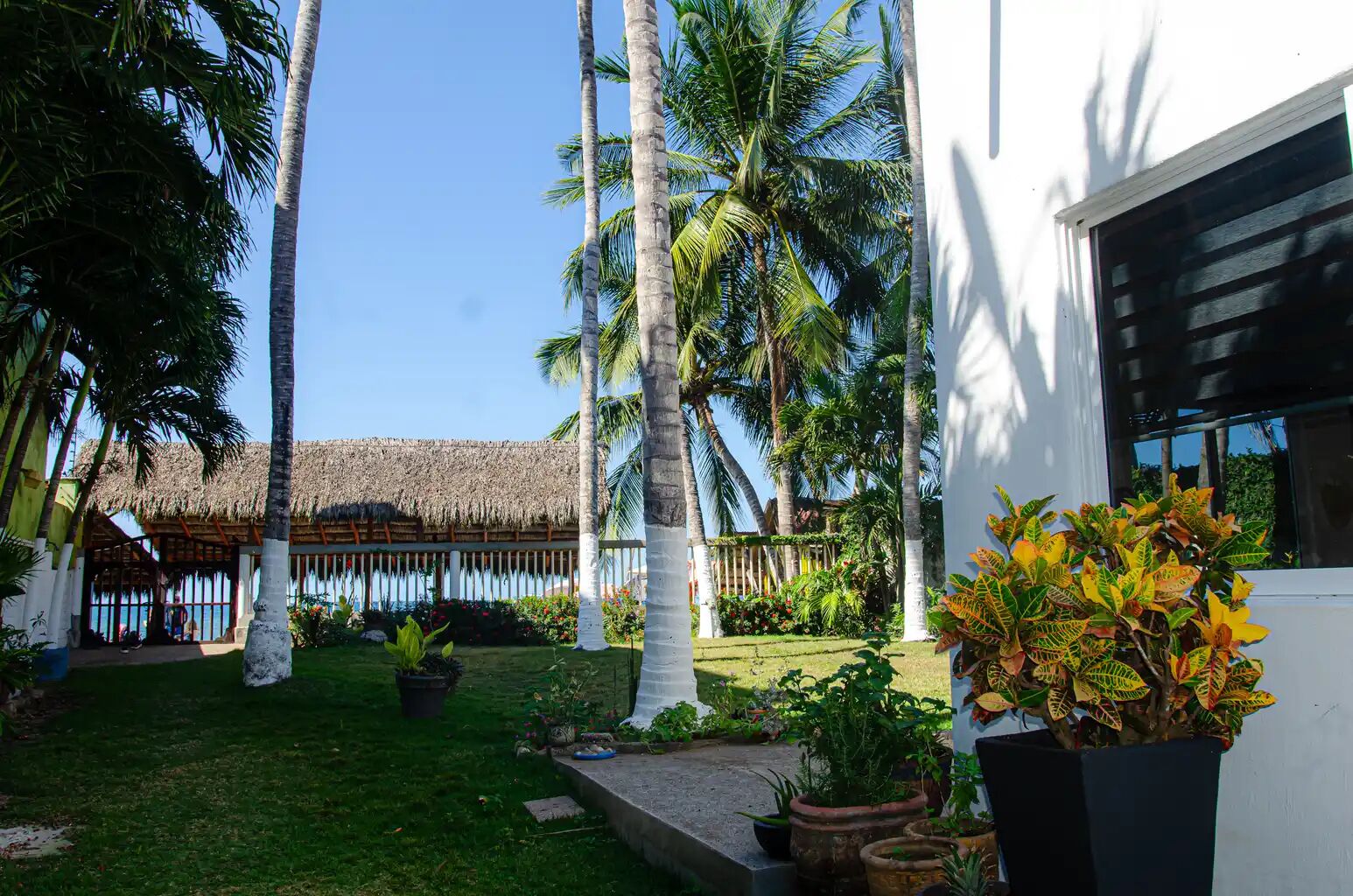 Terrain de l’hébergement 