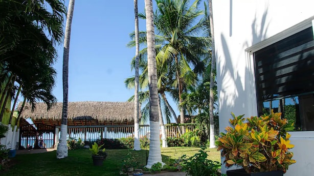 Un jardín tropical con palmeras, una estructura de techo de paja y plantas en macetas.
