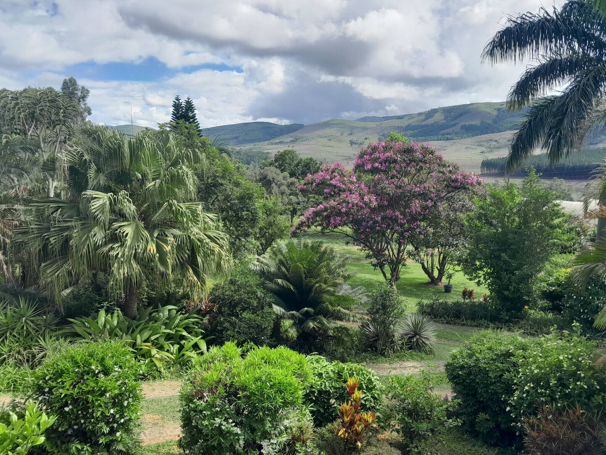Jardín