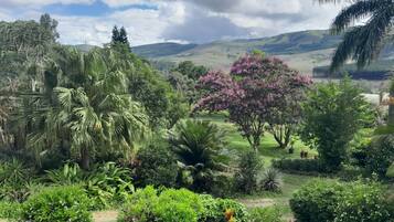 House, 3 Bedrooms, Private Pool | Garden