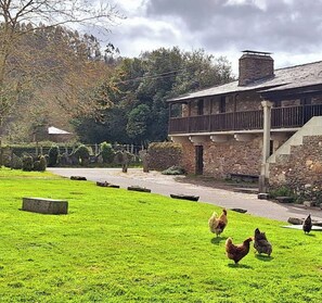 Terrain de l’hébergement 