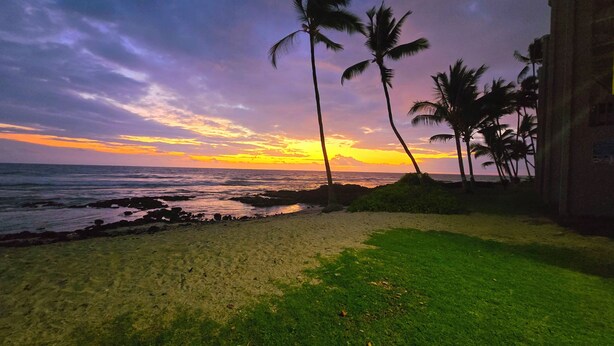 A beach with palm trees and a rocky shoreline.