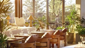 A restaurant with wooden tables and chairs, potted plants, and a view of trees through large windows. - Mondrian Gold Coast (Burleigh Heads)