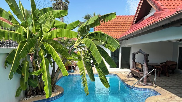 A swimming pool with a tiled edge, surrounded by banana trees and a red-tiled roof.