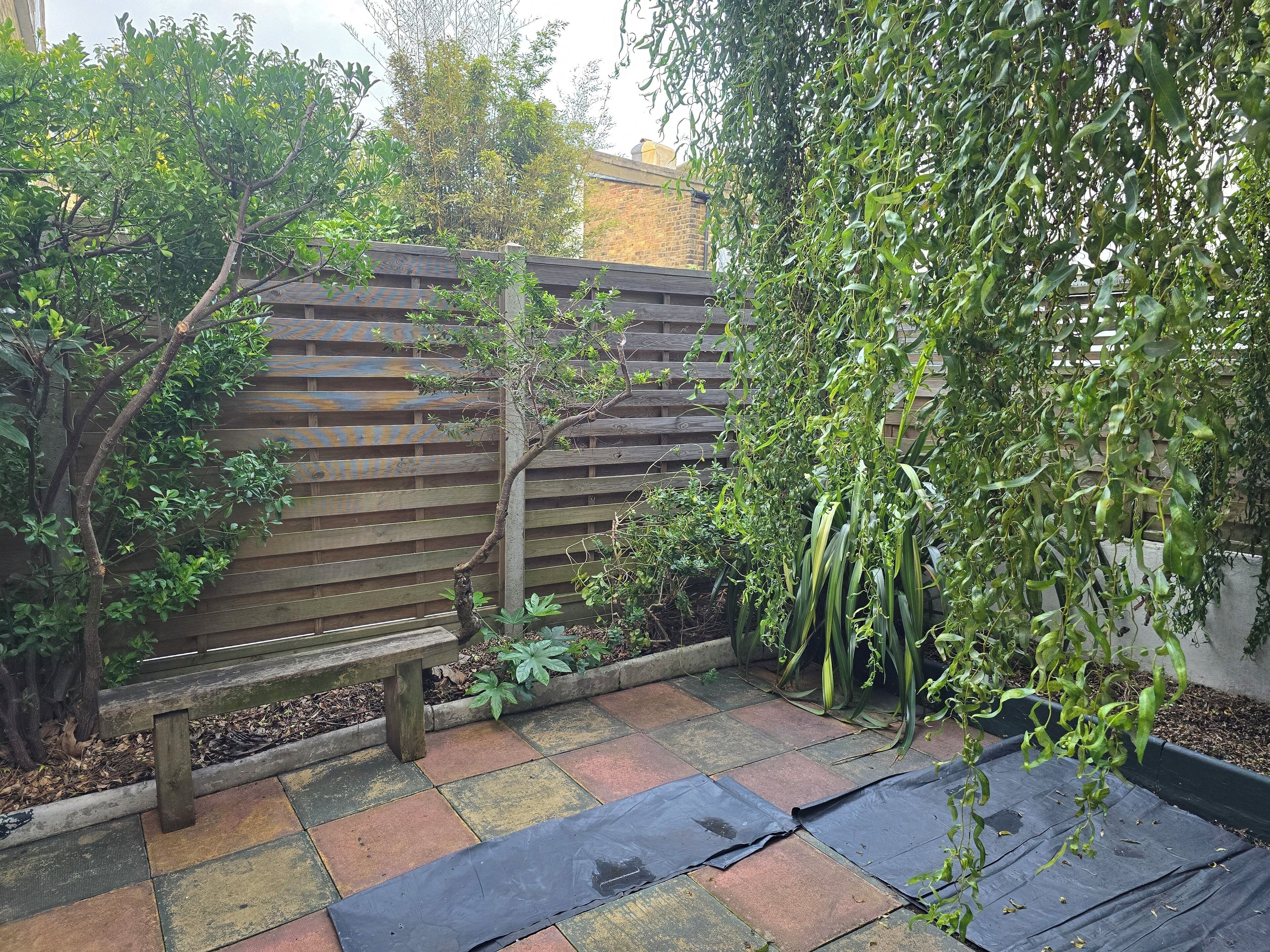 Dortoir Partagé, 1 chambre, fumeurs, patio | Jardin