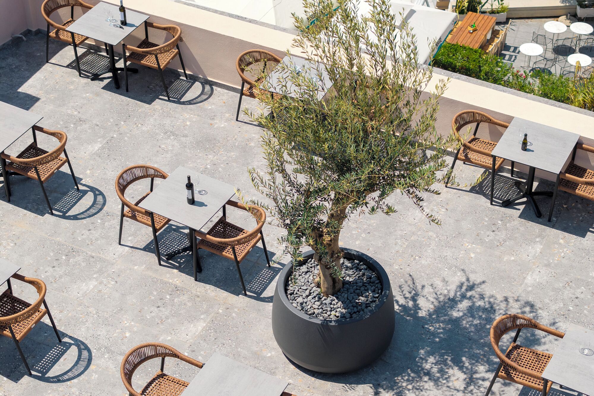 Un espace extérieur aménagé en terrasse, avec des chaises et des tables en osier, un grand olivier en pot et une vue sur les environs.