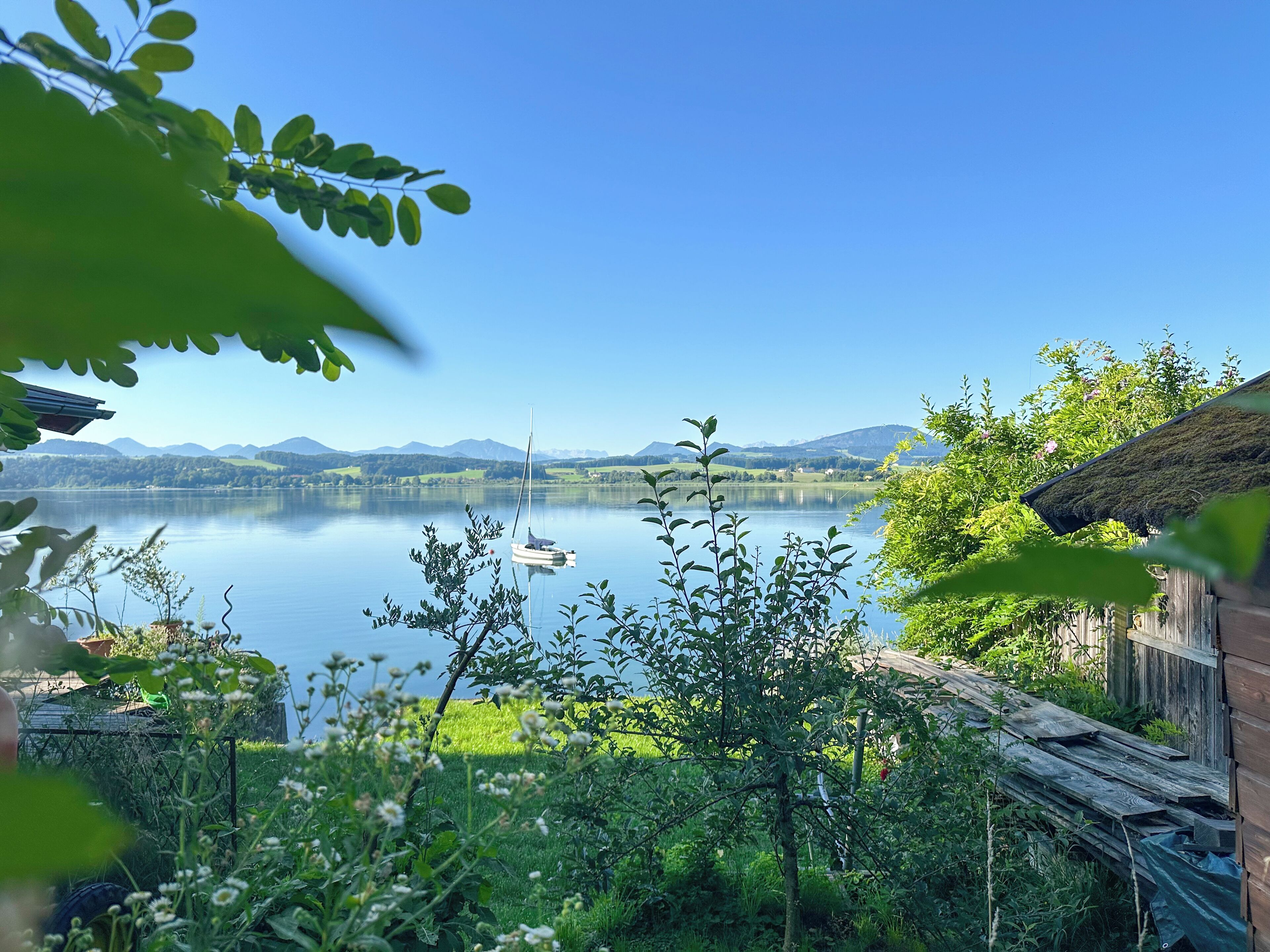 Una vista tranquila de un lago con un velero, abundante vegetación y montañas al fondo.