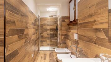 Shower, hair dryer, bidet, towels