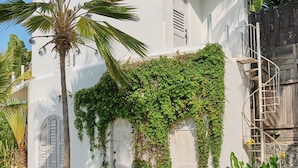 A white building with a palm tree and a wooden fence. - Casablanca Beachfront Gateway (Troncones)