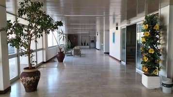 Apartamento | 1 quarto