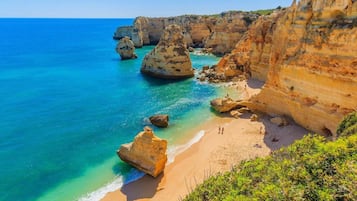 Apartamento | 1 quarto