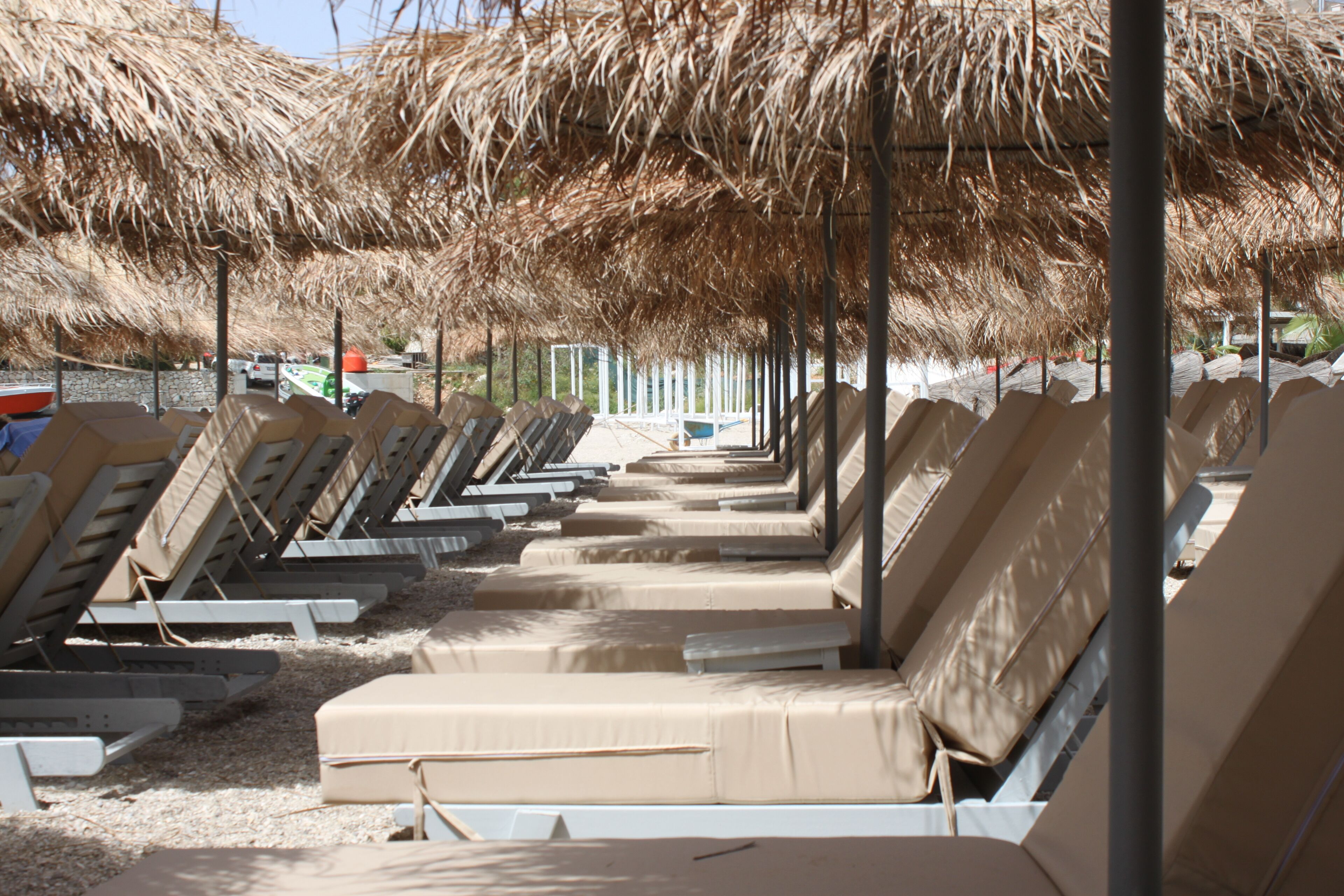 Photo - ORCHIDS Hotel